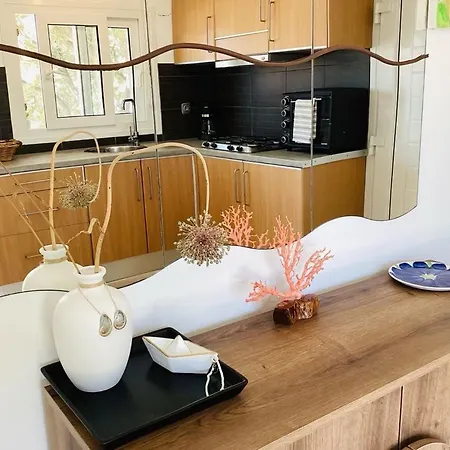 The Blue House Ii Daire